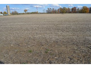 Property photo 54 - 127 Acres Offered in 8 Tracts - Allen & Dekalb County Land